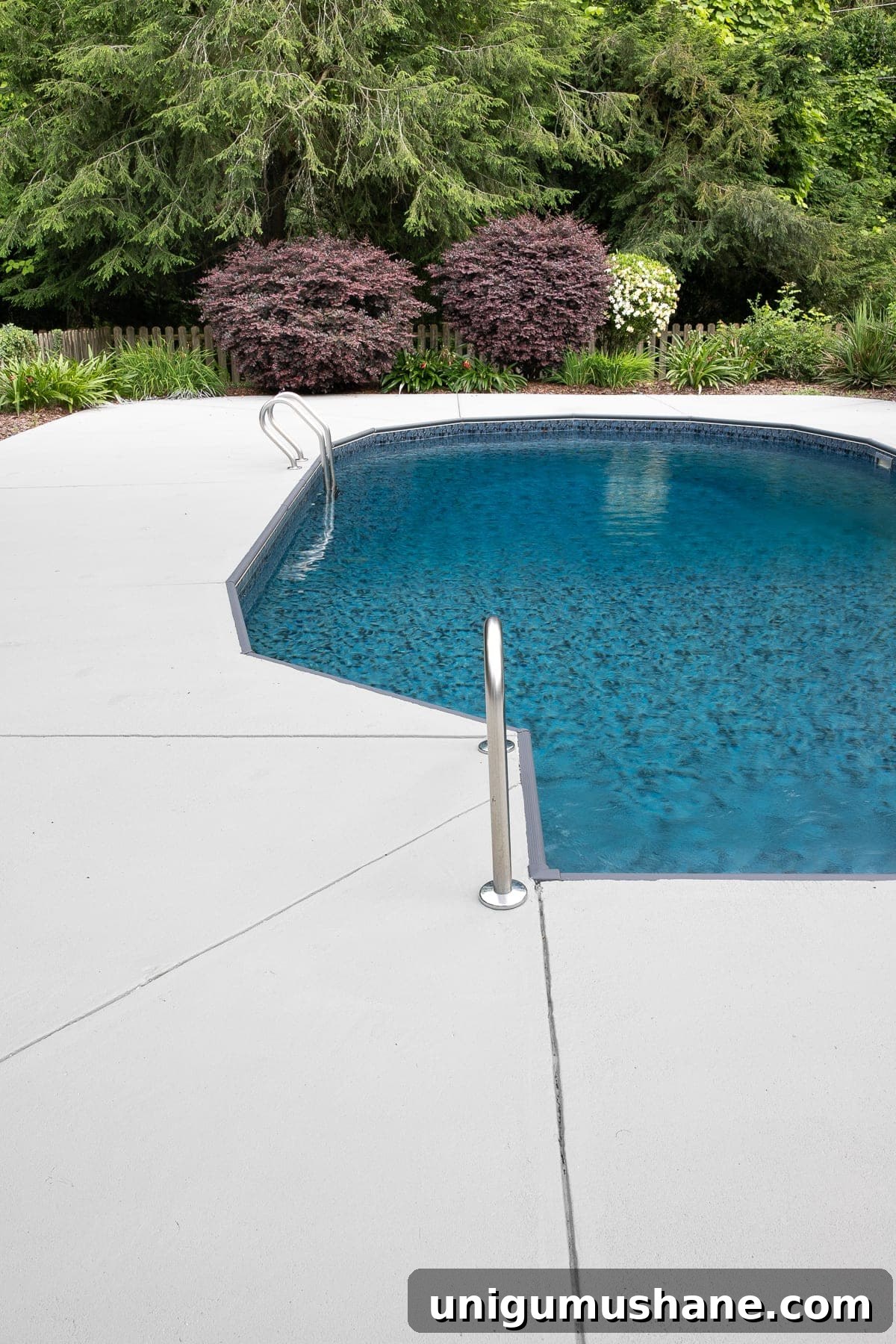 painted concrete patio and pool deck finished and ready for play time