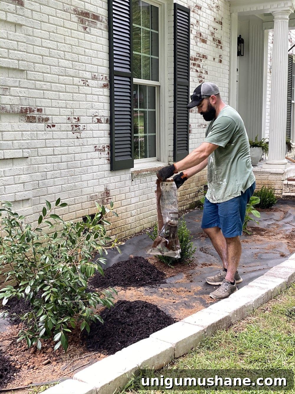 Fresh mulch applied to bed