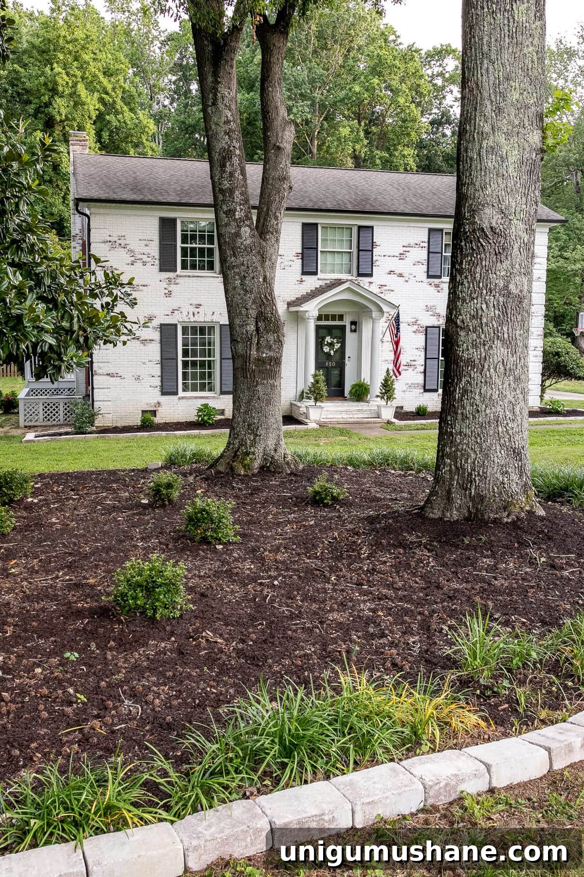 New shrubs beginning to fill in
