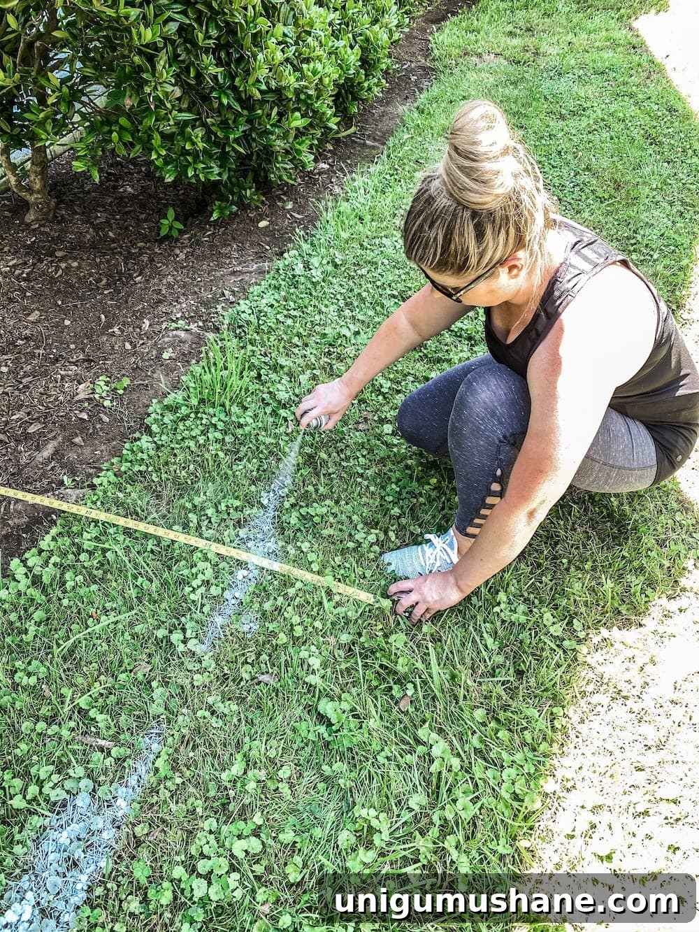Marking and mapping out flower beds