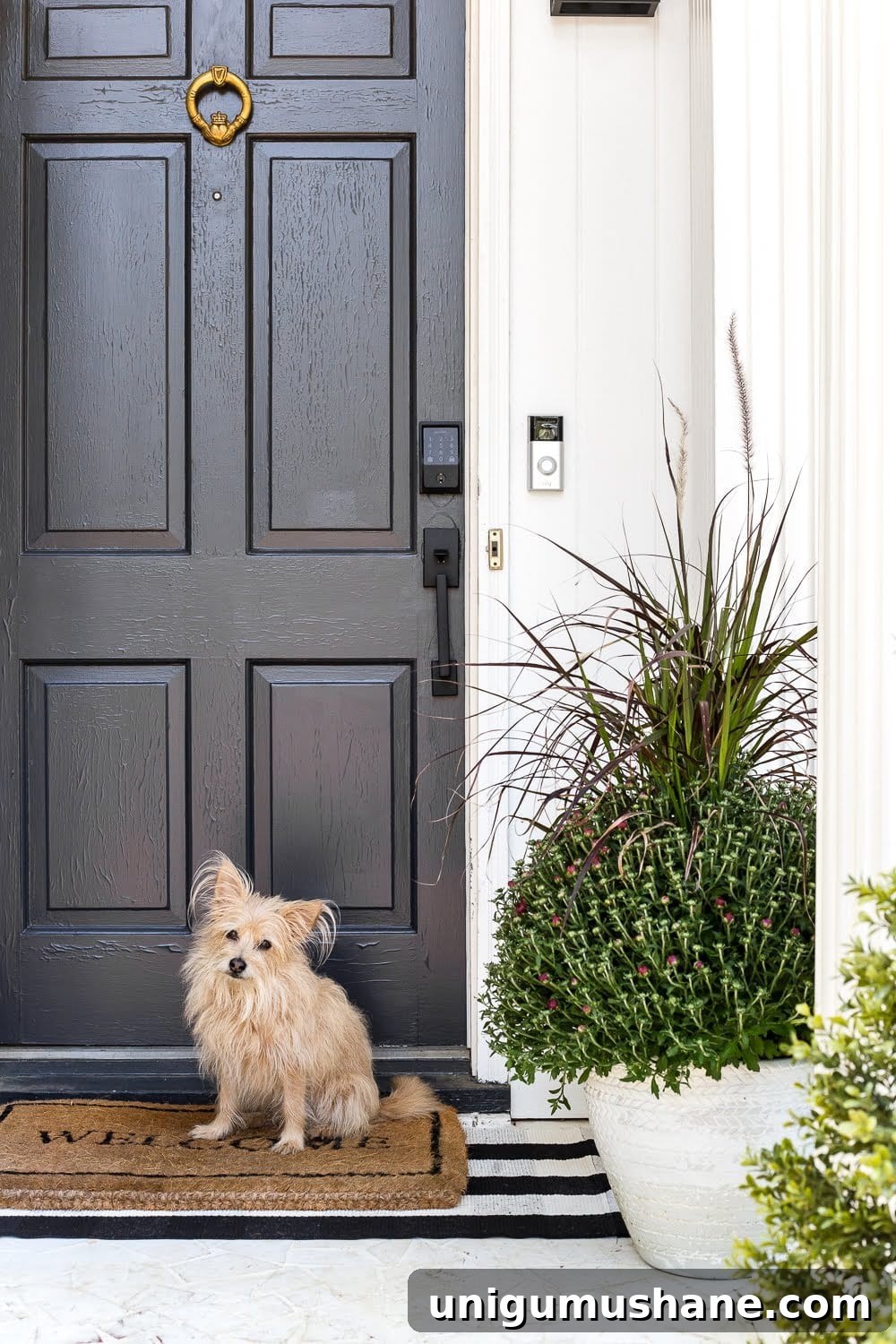 DIY Fall Decor Projects to Make Your Home Cozy 11 fall planters on a front porch with mums and ornamental grass
