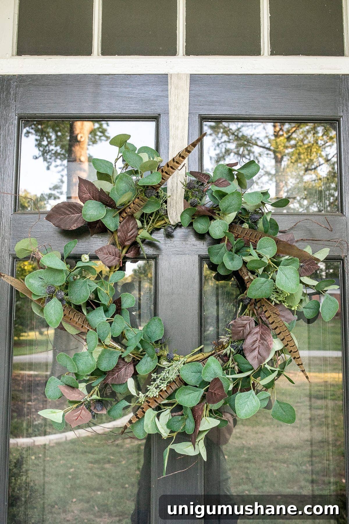 Early fall wreath with eucalyptus, blue thistle, and pheasant feathers