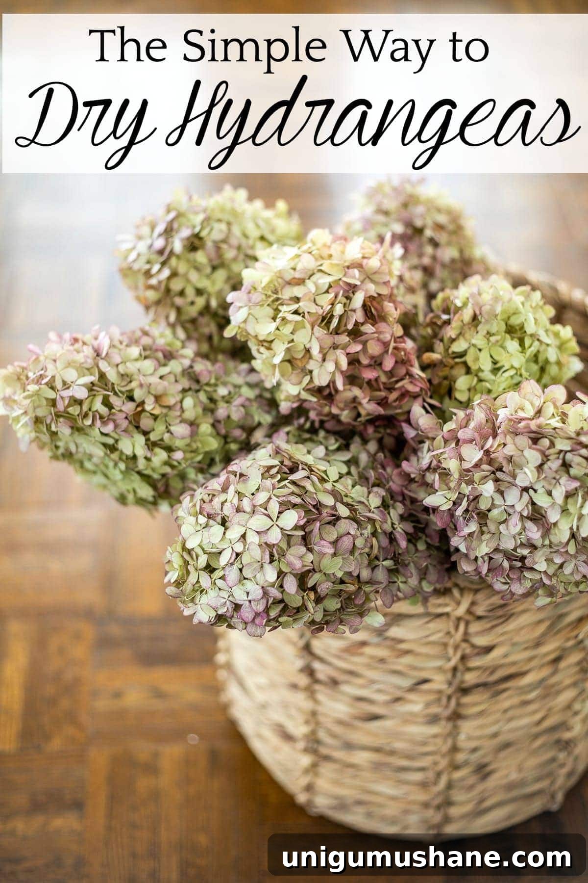 How to Dry Hydrangeas for Long Lasting Fall Decor 2 dried hydrangeas arranged for fall decor