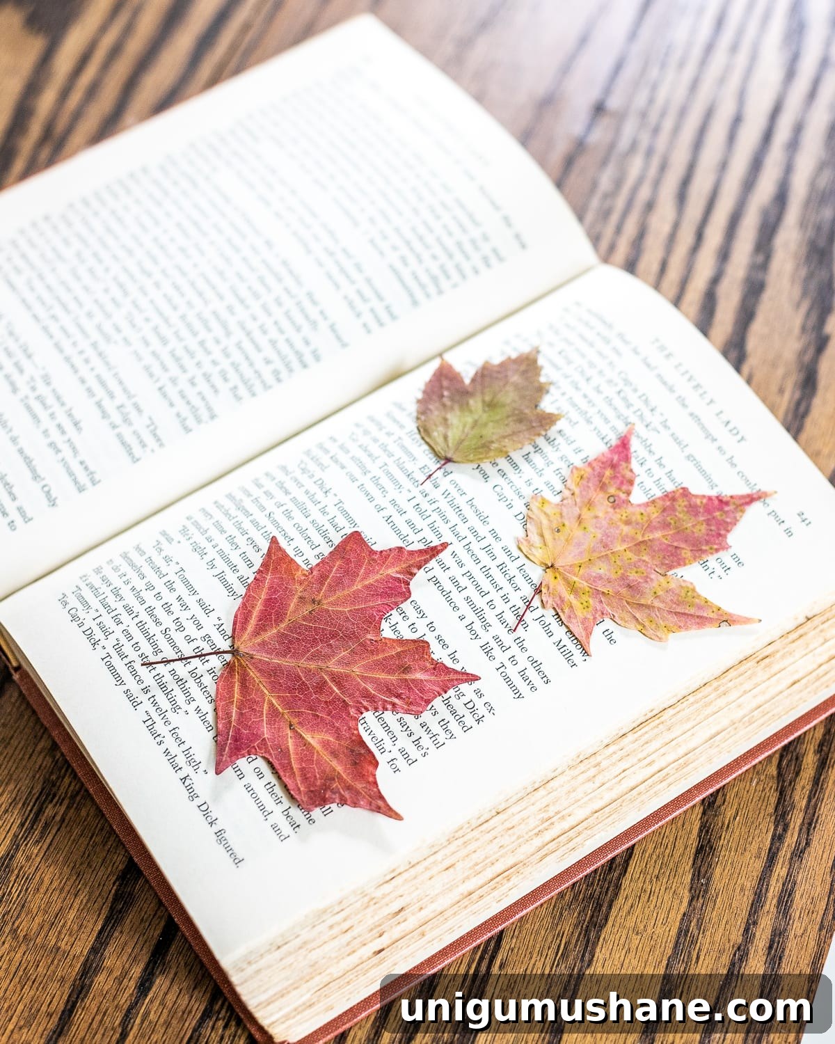 Pressed Leaf Gallery Wall Ideas for Fall Entryways 3 pressed dried fall leaves