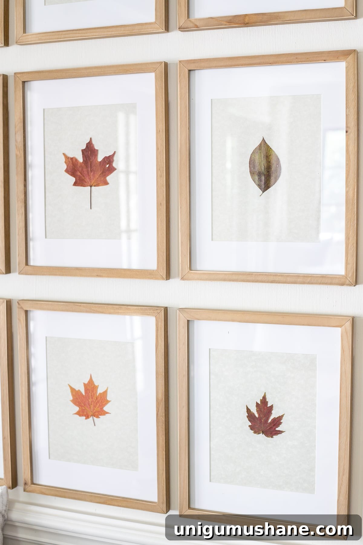 Pressed Leaf Gallery Wall Ideas for Fall Entryways 7 framed pressed fall leaves