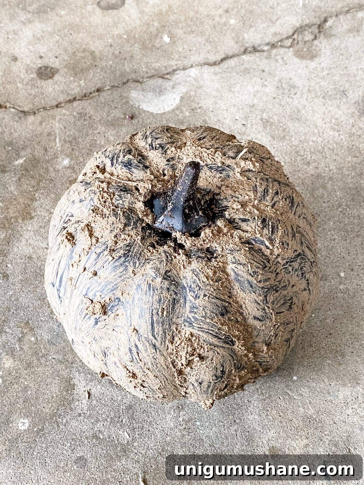3 Modern Pumpkin Painting Ideas for Chic Fall Decor 11 black earthenware pumpkin painting technique