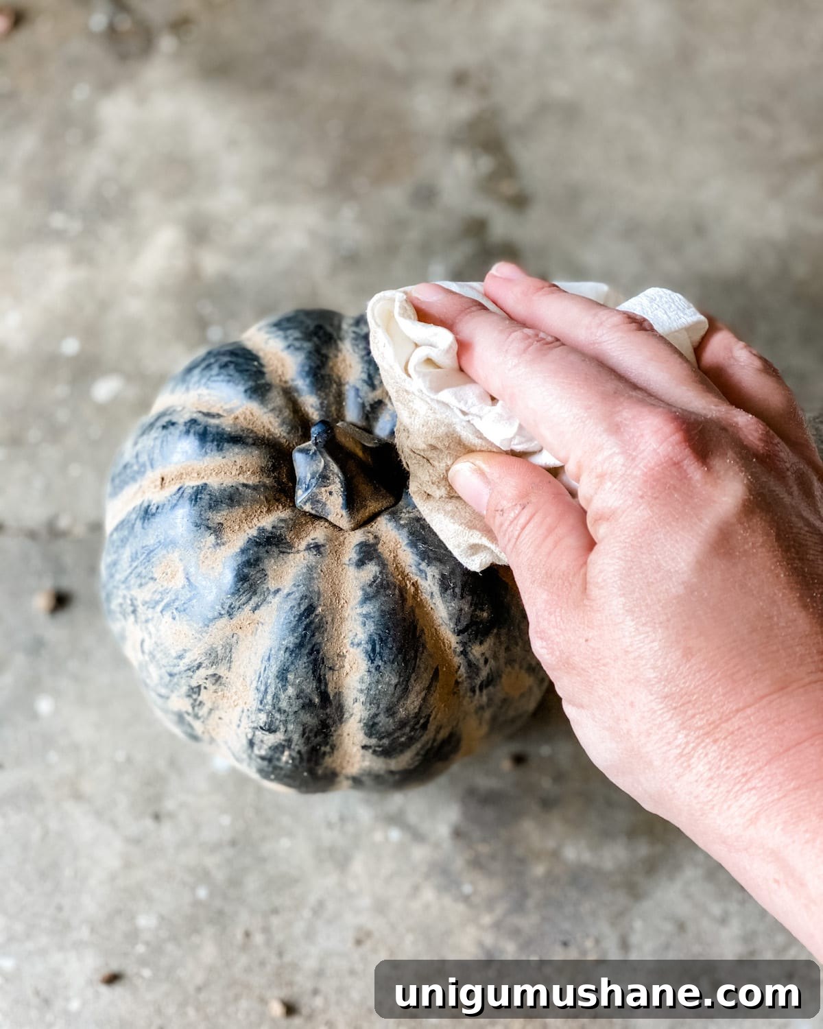 3 Modern Pumpkin Painting Ideas for Chic Fall Decor 12 black earthenware pumpkin painting technique