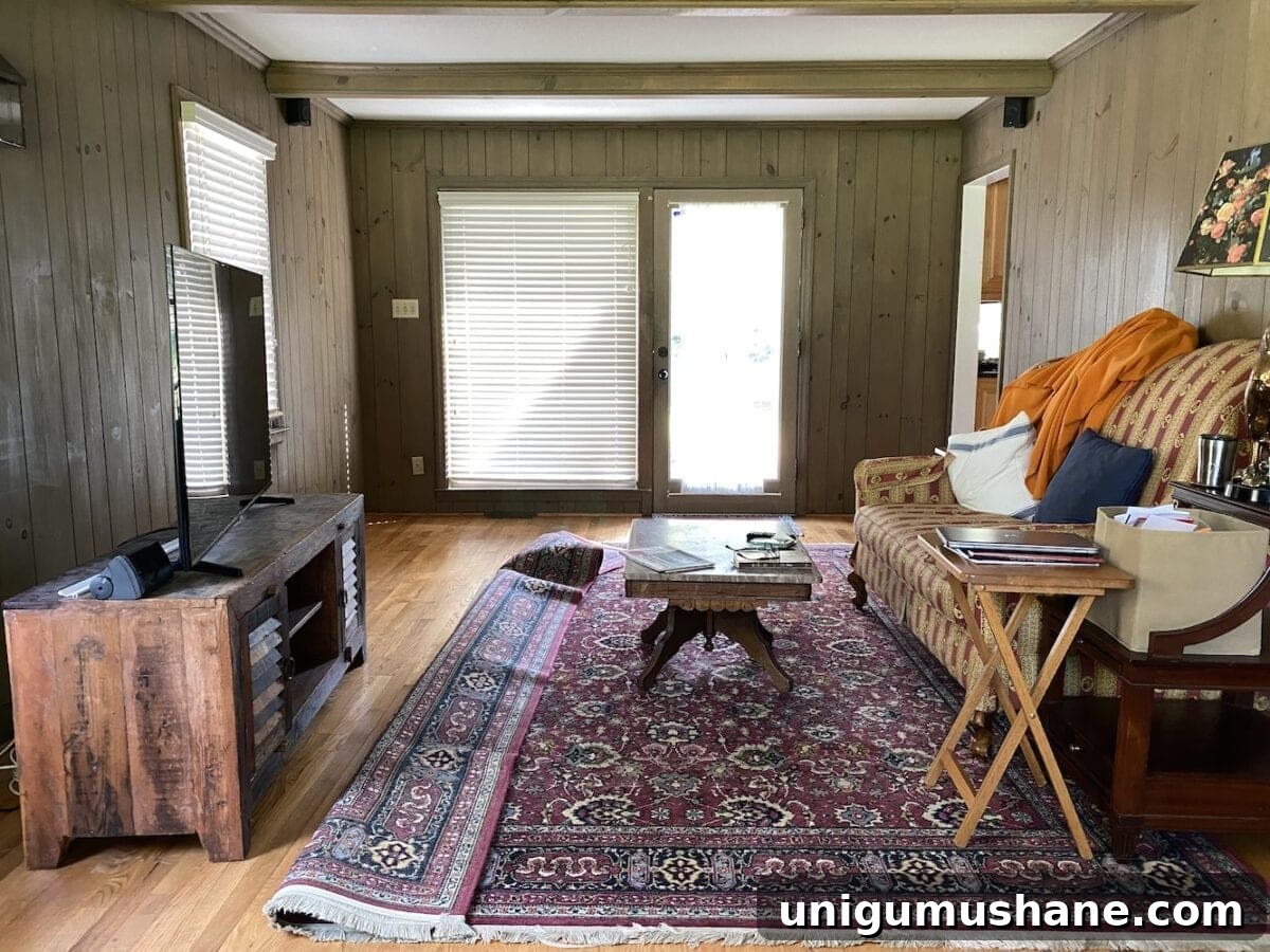DIY Painted Wall Paneling and McNay Project Update 8 living room before