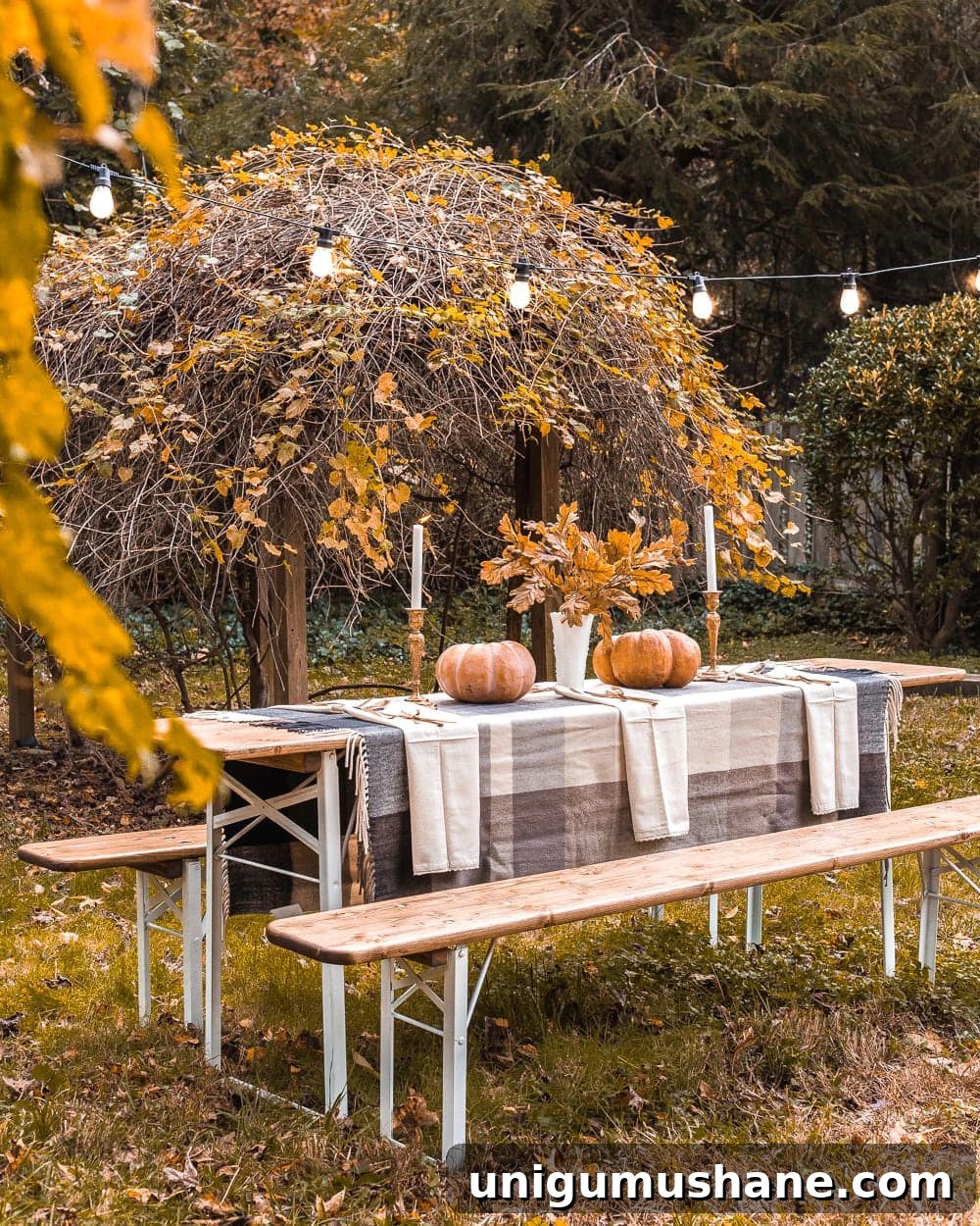 4 Essentials to Create a Cozy Backyard Retreat 2 fall outdoor dining