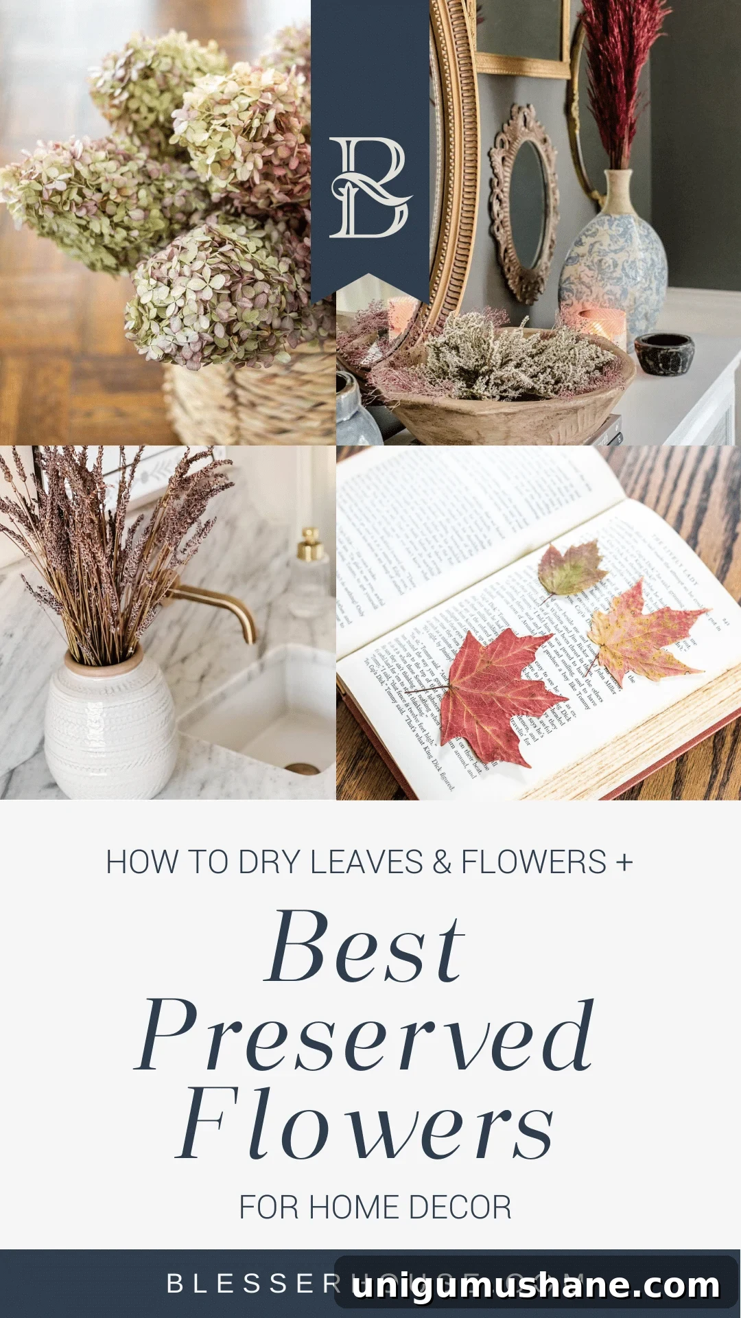 Preserved Flowers: Drying Leaves and Blooms for Home Decor 2 best preserved flowers and how to dry flowers and leaves for home decor