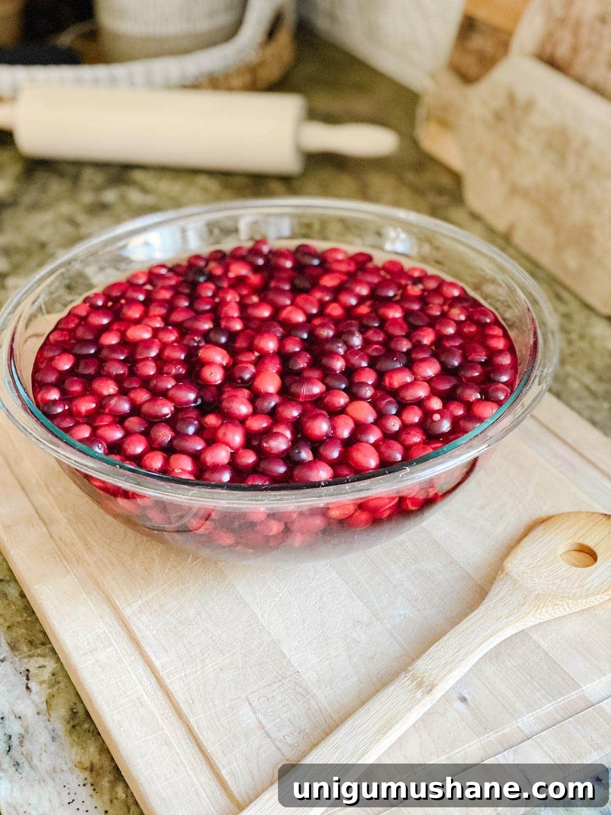 How to Dry Fruit and Preserve Leaves for Natural Christmas Decor 8 How to dry cranberries for decorating