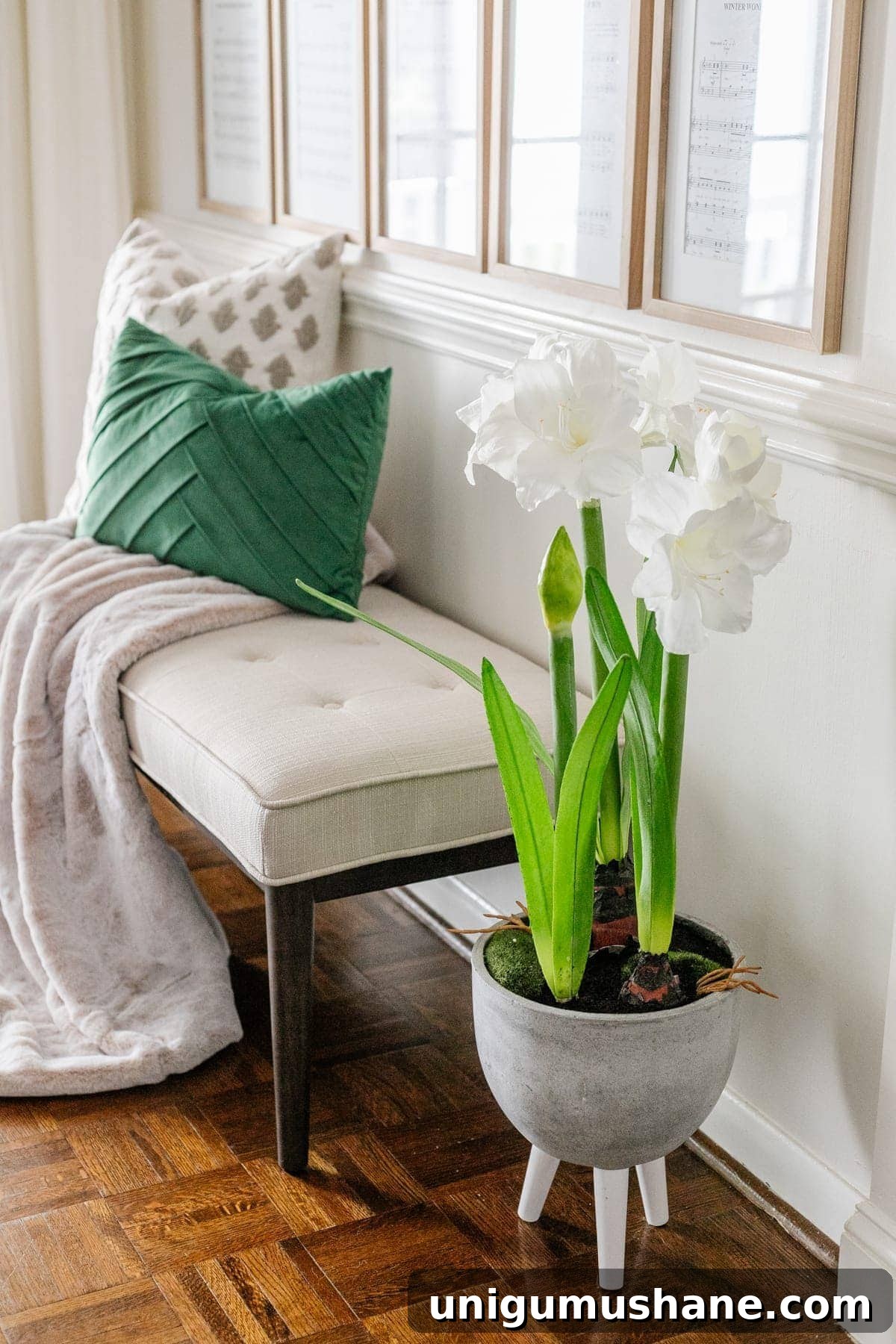DIY Christmas Sheet Music Gallery Wall Decor 6 amaryllis planter