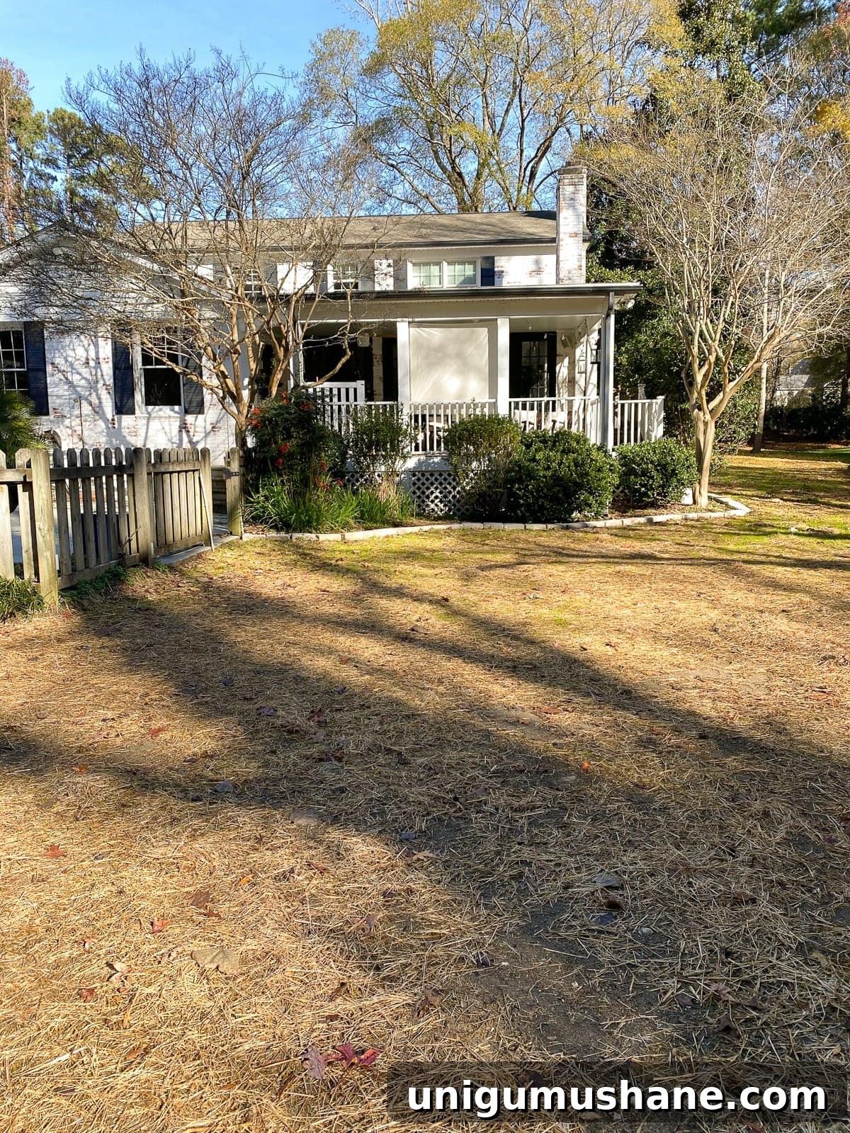 Build a Pea Gravel Backyard Fire Pit in a Weekend 4 backyard after grading and seeding