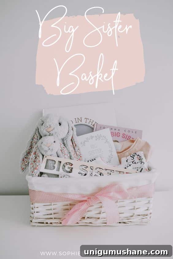 50 Unique Christmas Gift Basket Ideas to Impress 20 big sister gift basket