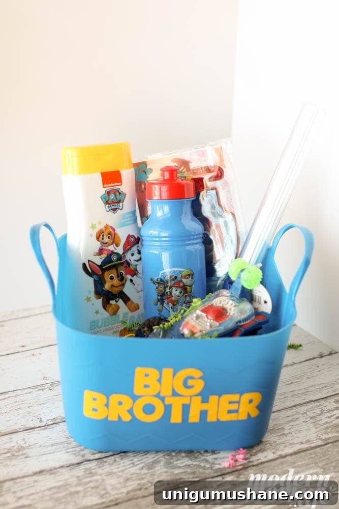 50 Unique Christmas Gift Basket Ideas to Impress 21 big brother gift basket