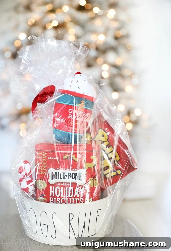 50 Unique Christmas Gift Basket Ideas to Impress 38 pet gift basket