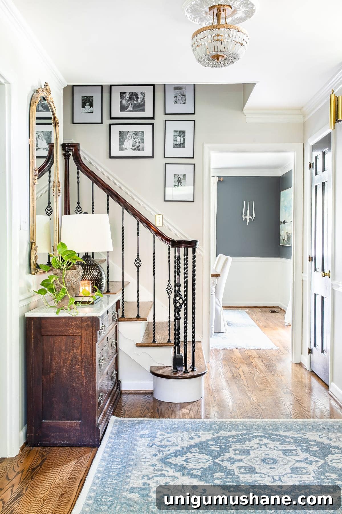 How to Choose the Perfect Rug: Size, Material and Style Tips 3 Rug in entryway
