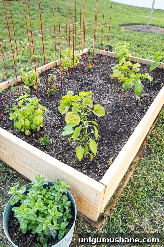 10 DIY Outdoor Projects to Refresh Your Yard This Spring 14 img 38647 13