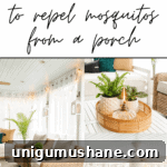 How to Keep Mosquitoes Off Your Porch and Patio 13 img 38809 14