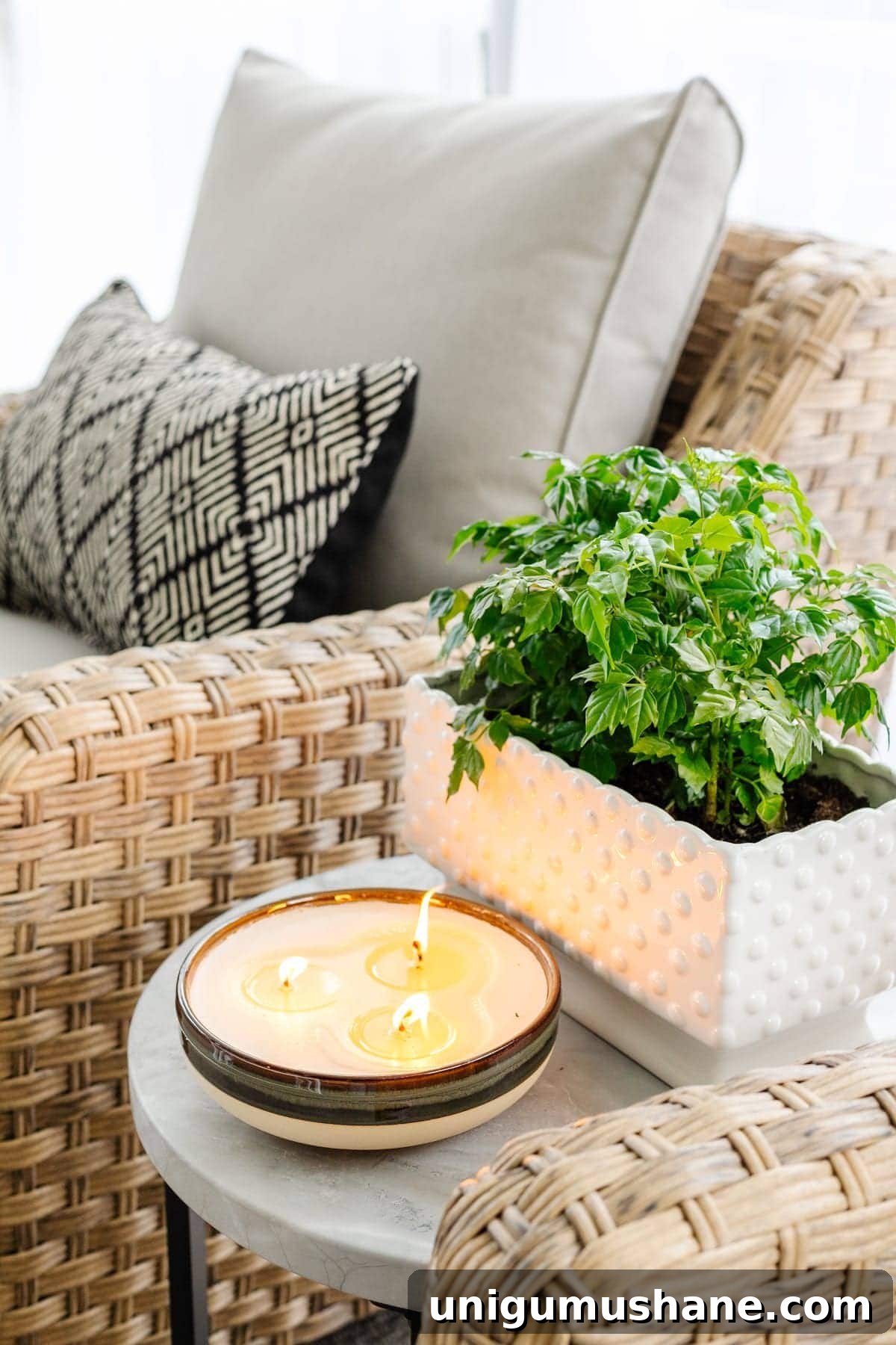 How to Keep Mosquitoes Off Your Porch and Patio 7 citronella candle and potted plant