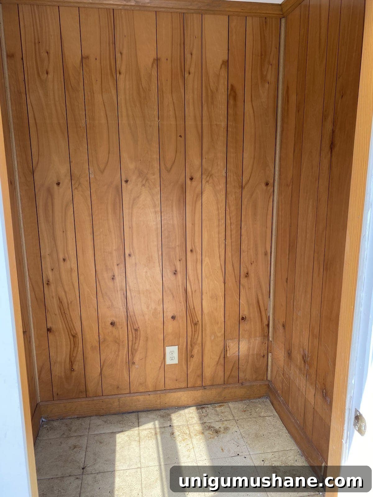 Pool shed closet cleared and ready