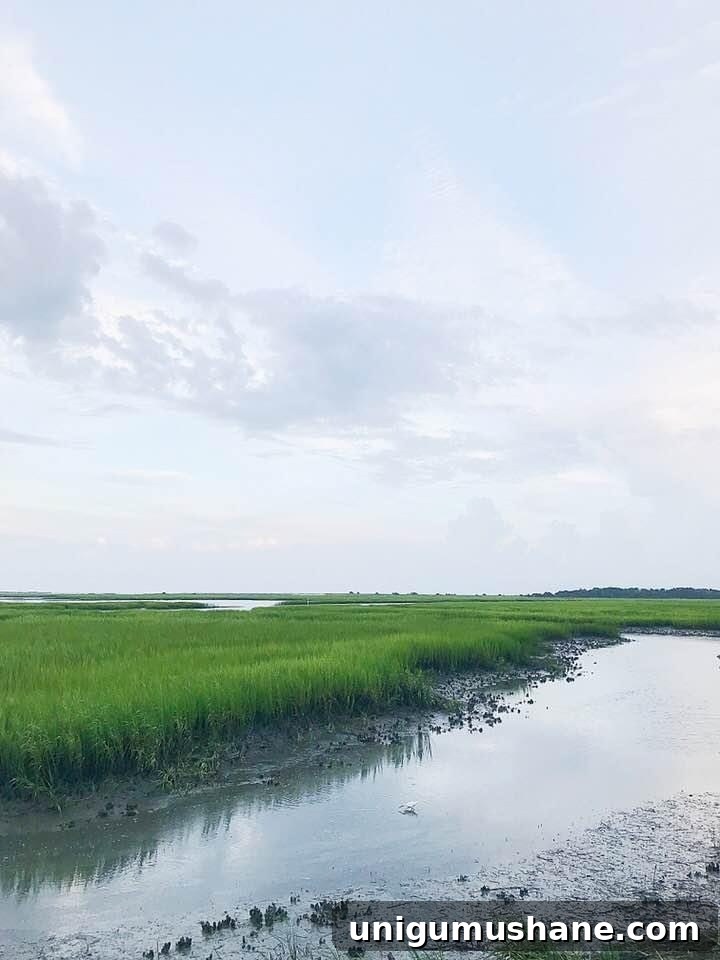 Murrells Inlet, SC