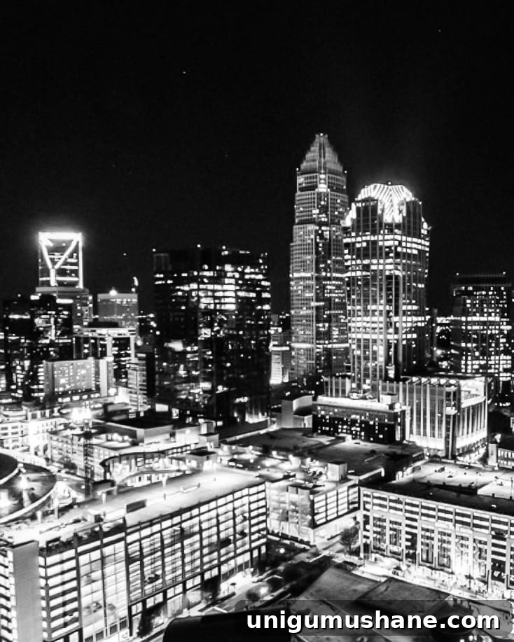 Fahrenheit Charlotte Skyline View
