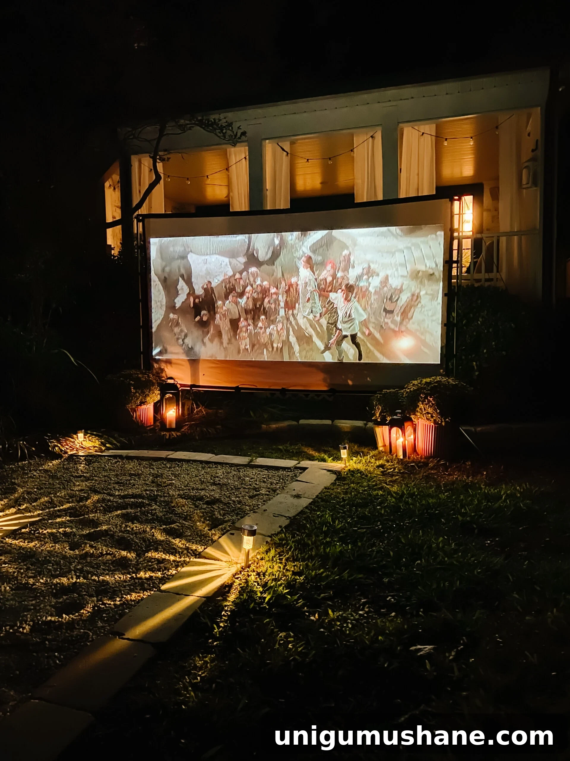 How to Host a Backyard Movie Night on a Budget 12 backyard movie night