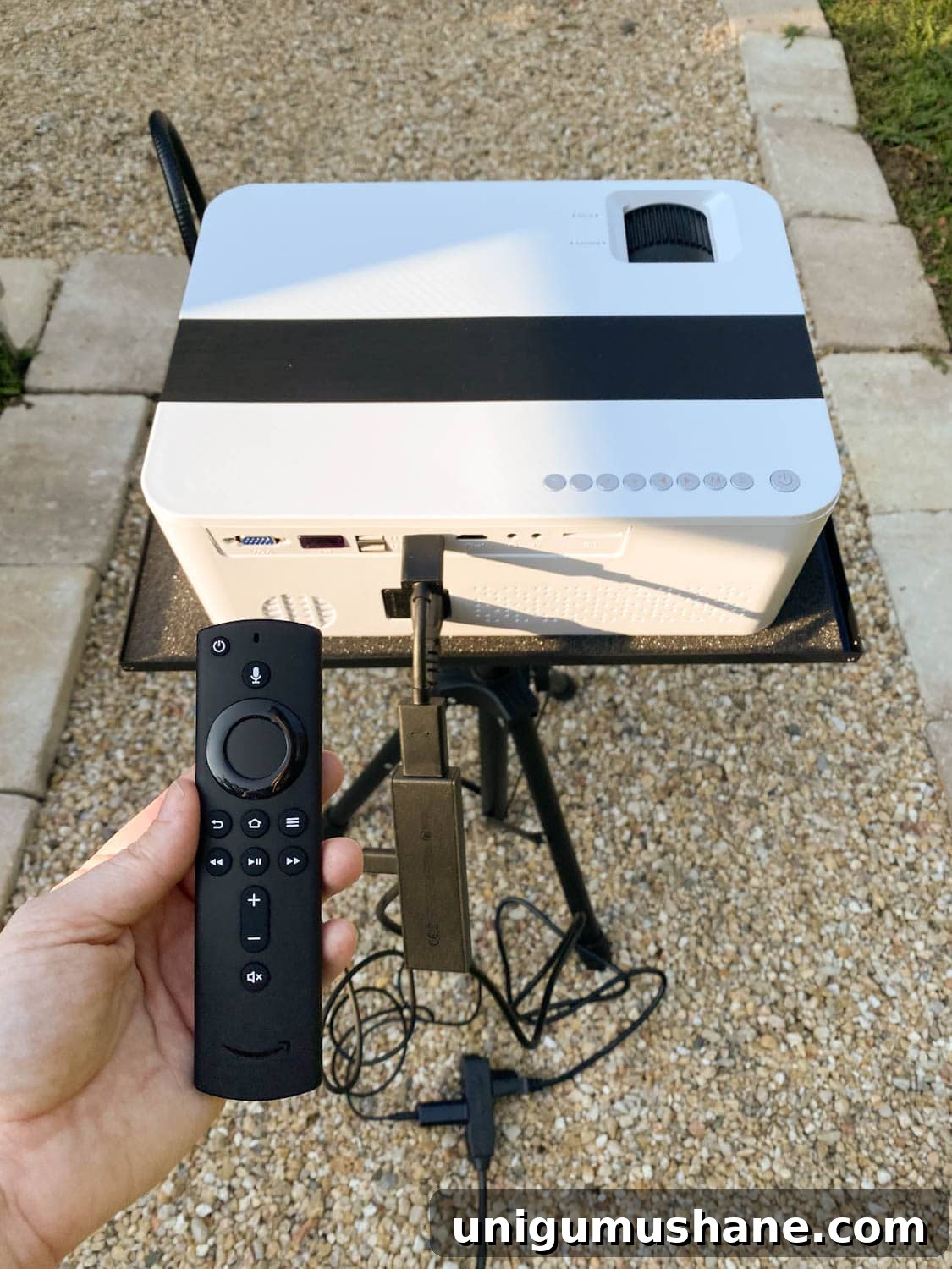 How to Host a Backyard Movie Night on a Budget 6 How to stream movies for a backyard movie night on an outdoor projector screen