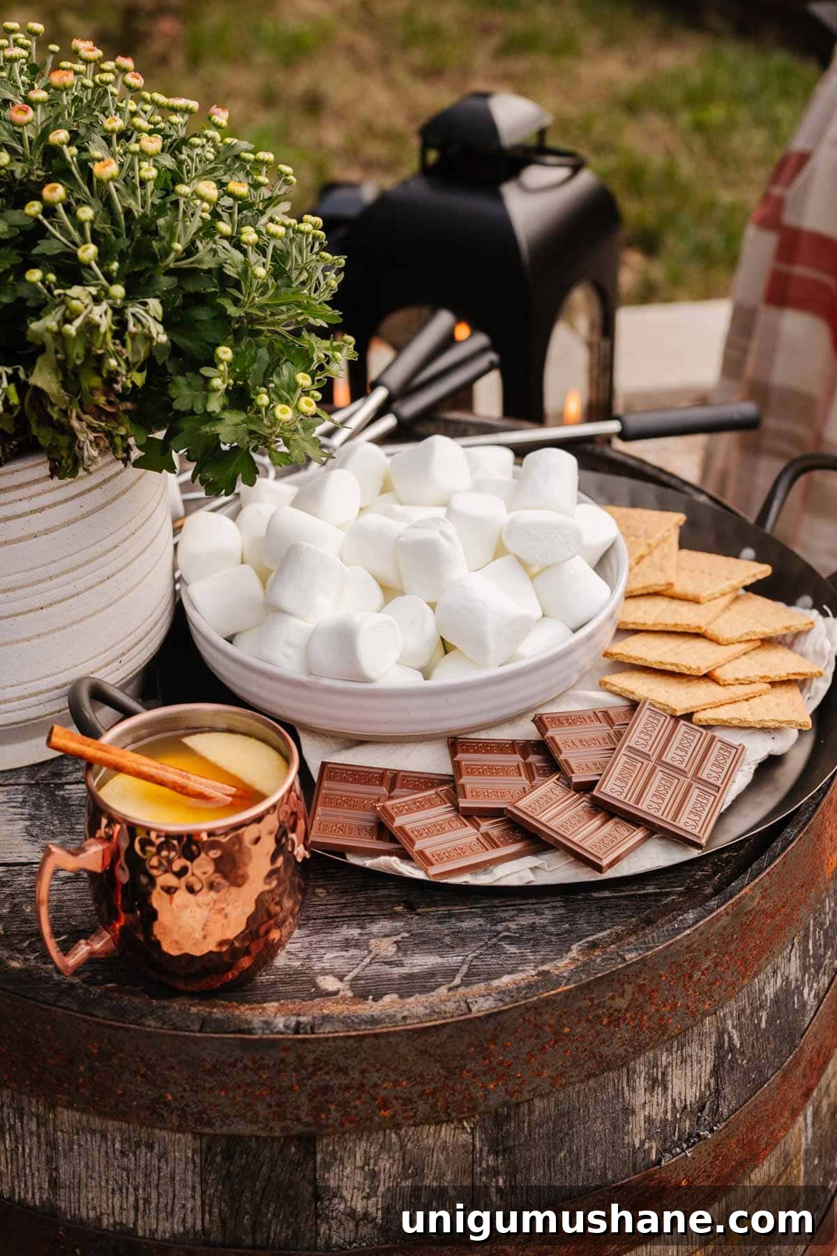 s'mores station at backyard party for fire pit idea