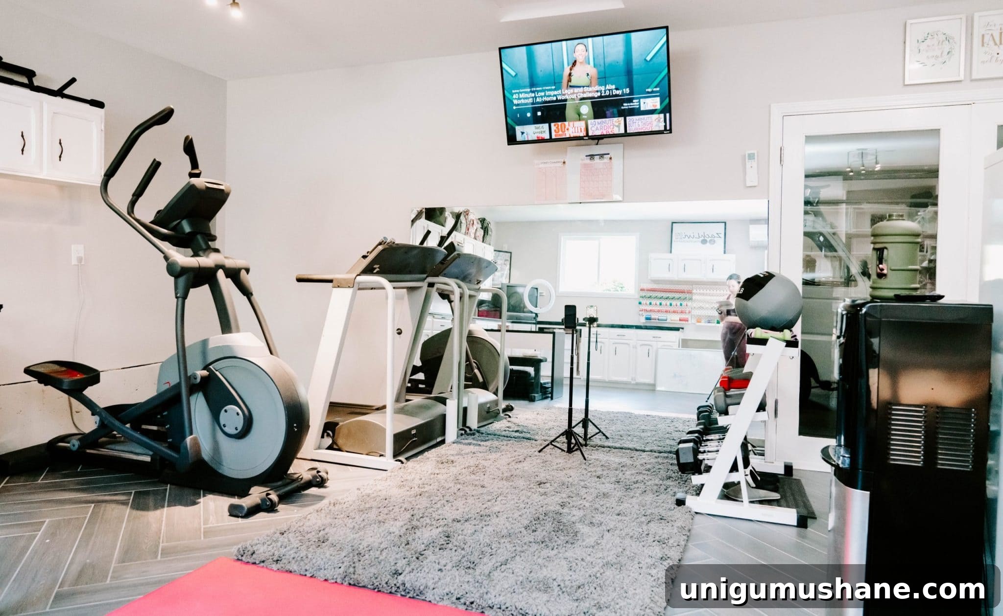 DIY Home Gym Ideas for Basements, Garages, and Sheds 10 workout room with TV, large mirror, and rug