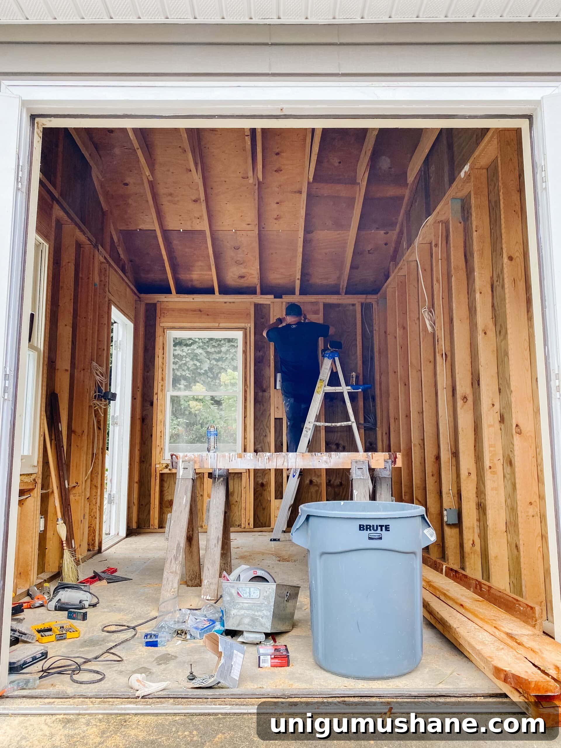 shed demo