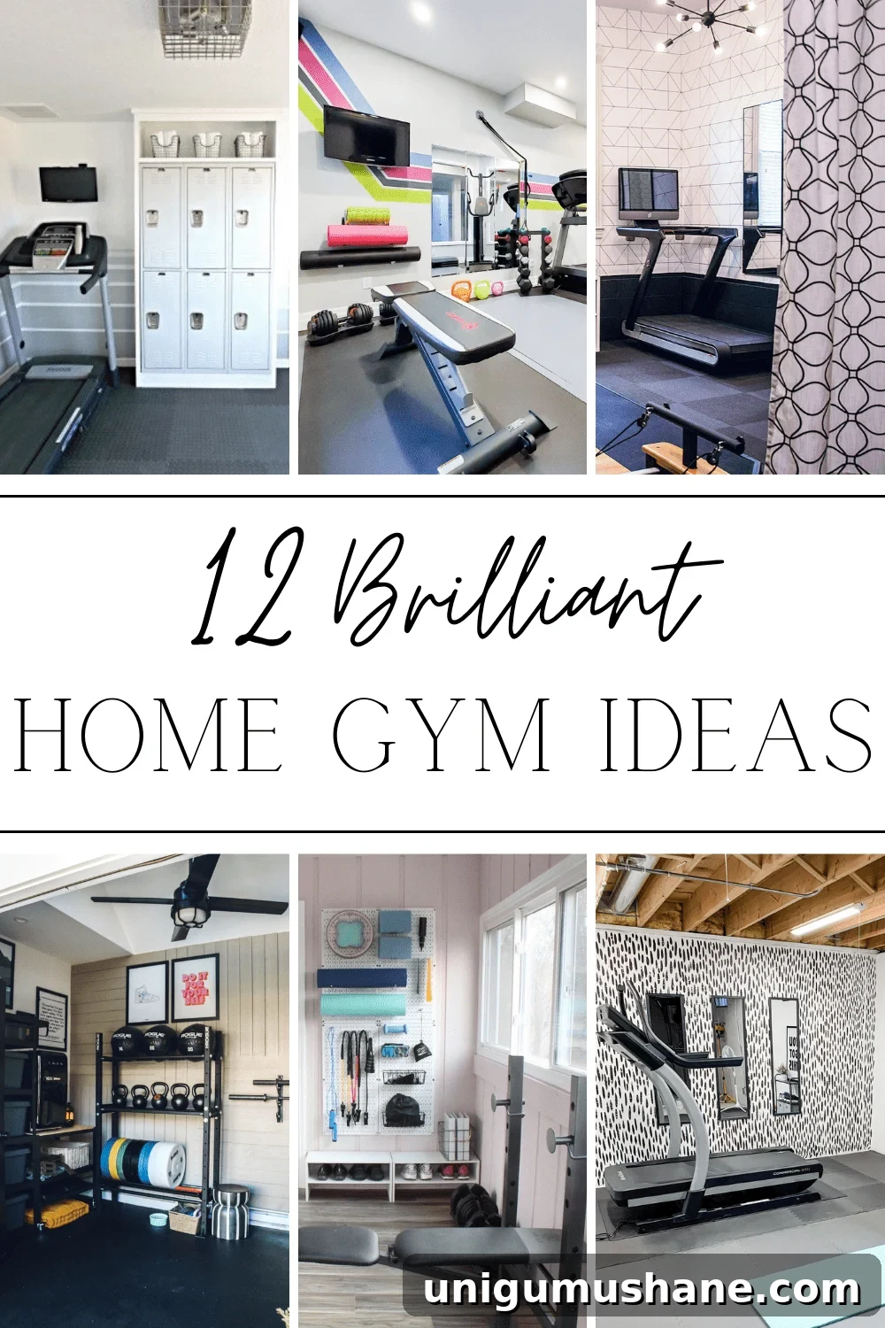 Convert Your Shed into a Home Gym on a Budget 16 home gym ideas