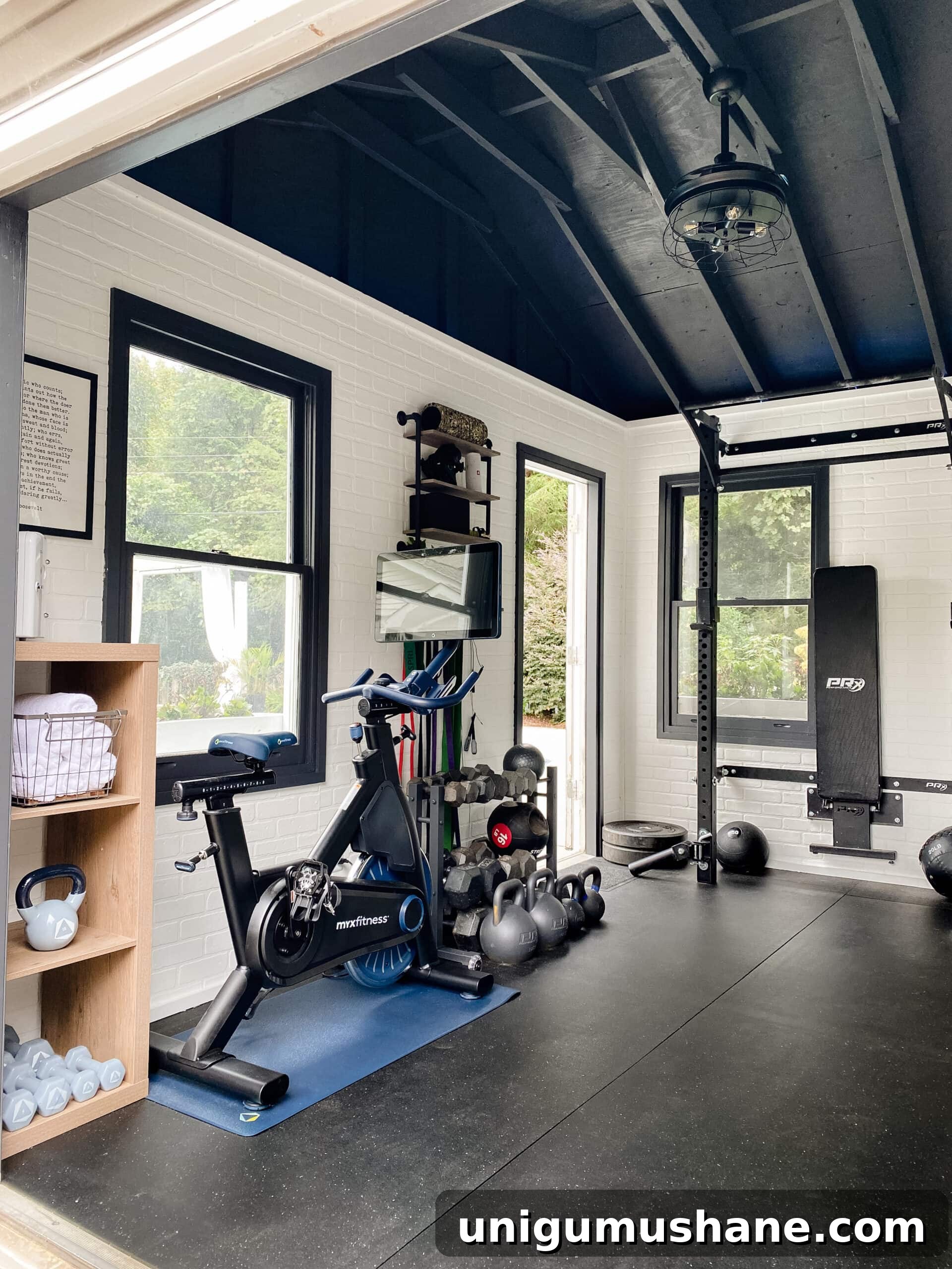 Build a Home Gym Step-by-Step on Any Budget 3 home gym equipment in a repurposed shed