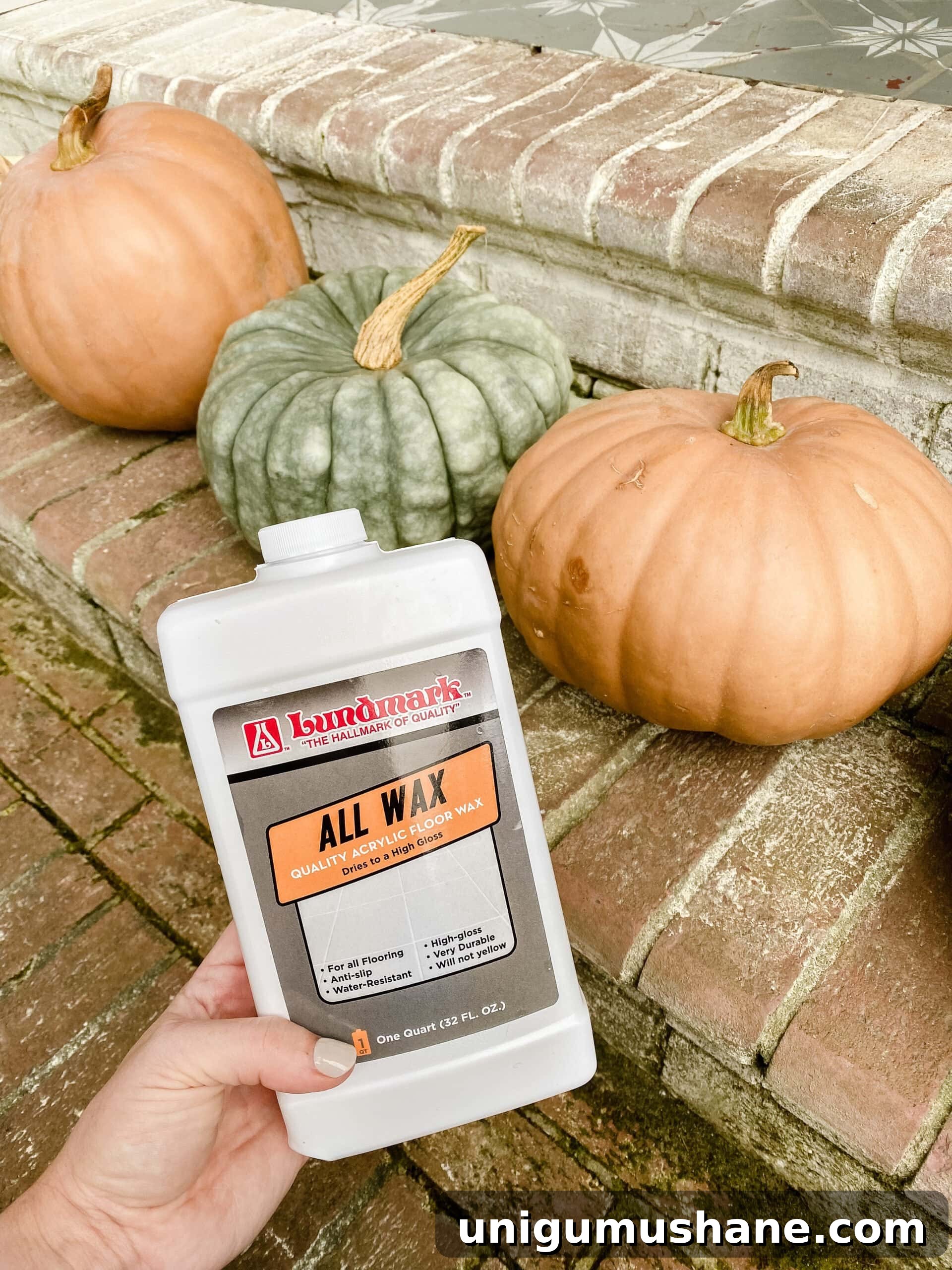 how to keep pumpkins from rotting using floor wax