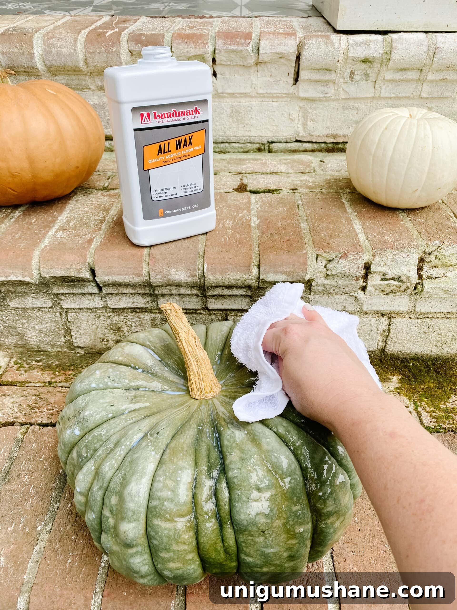 how to make pumpkins last longer using floor wax