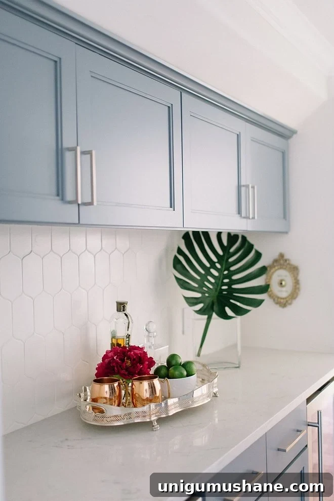 Sherwin Williams Storm Cloud
