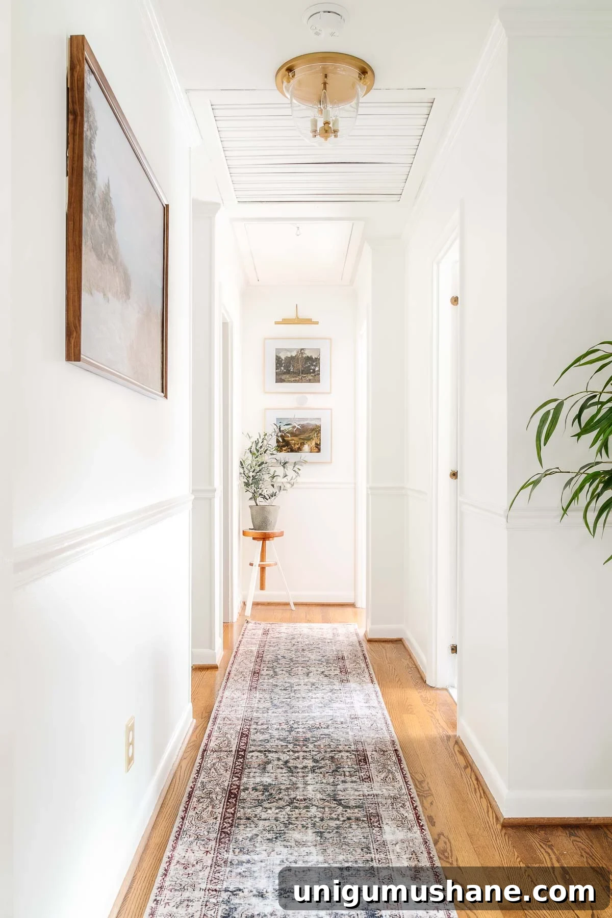 small hallway ideas : add art, a runner, plants, and interesting lighting