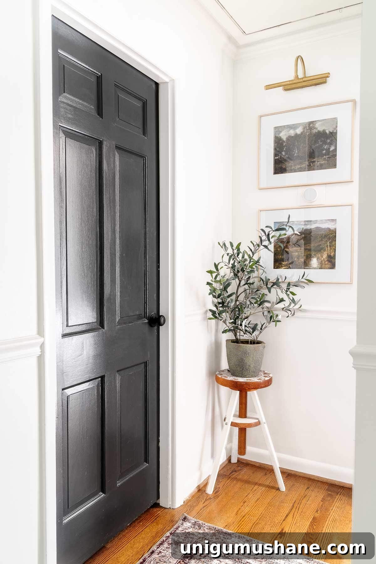 dark gray painted doors