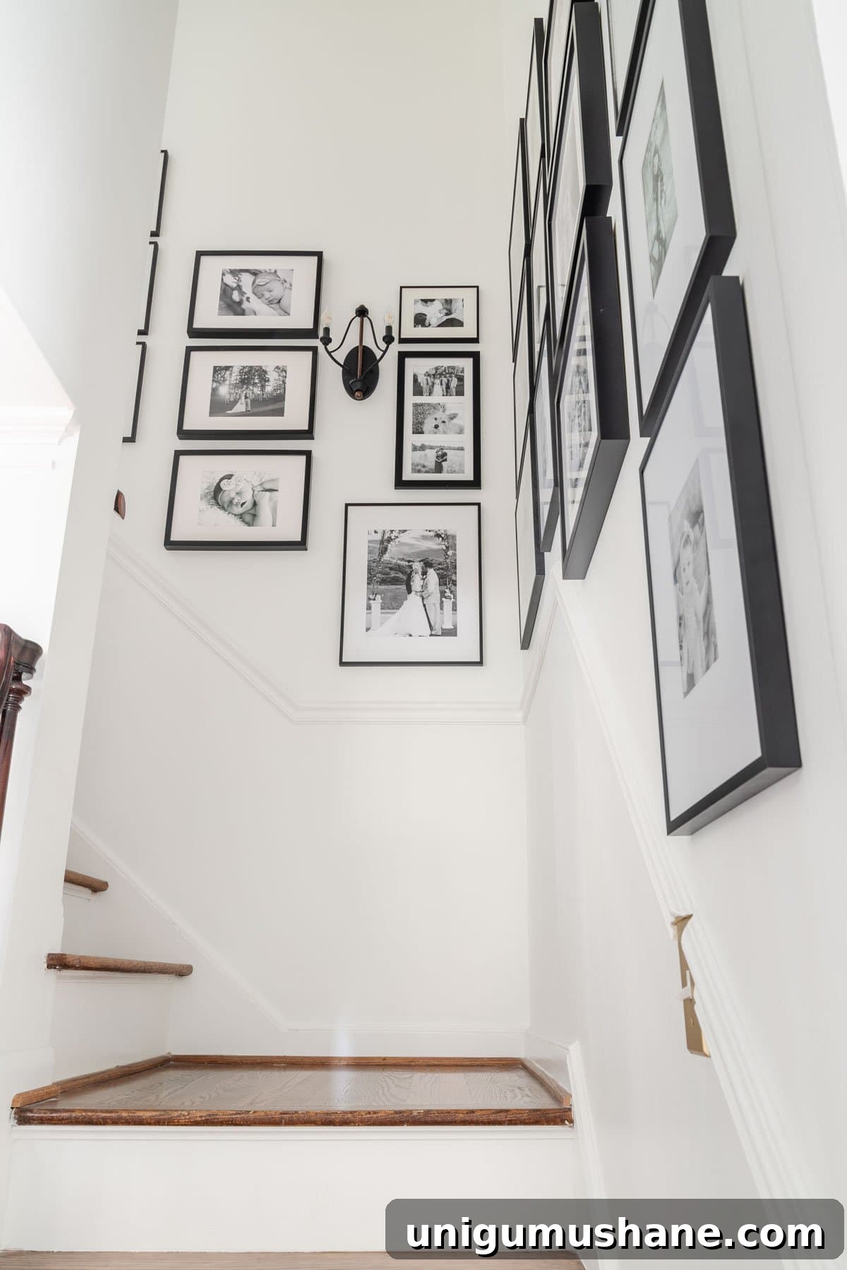 gallery wall with black and white family pictures