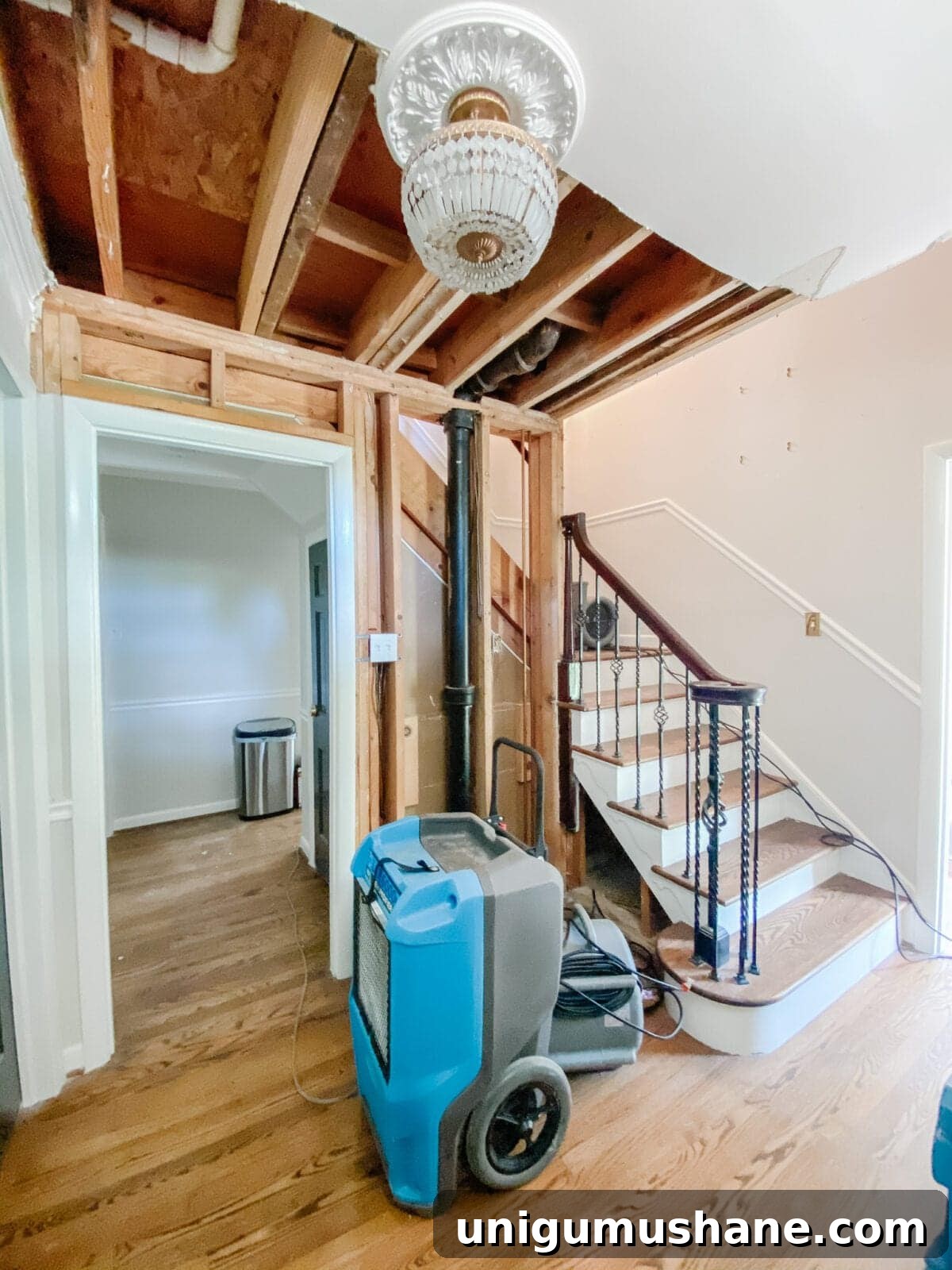 water mitigation in foyer