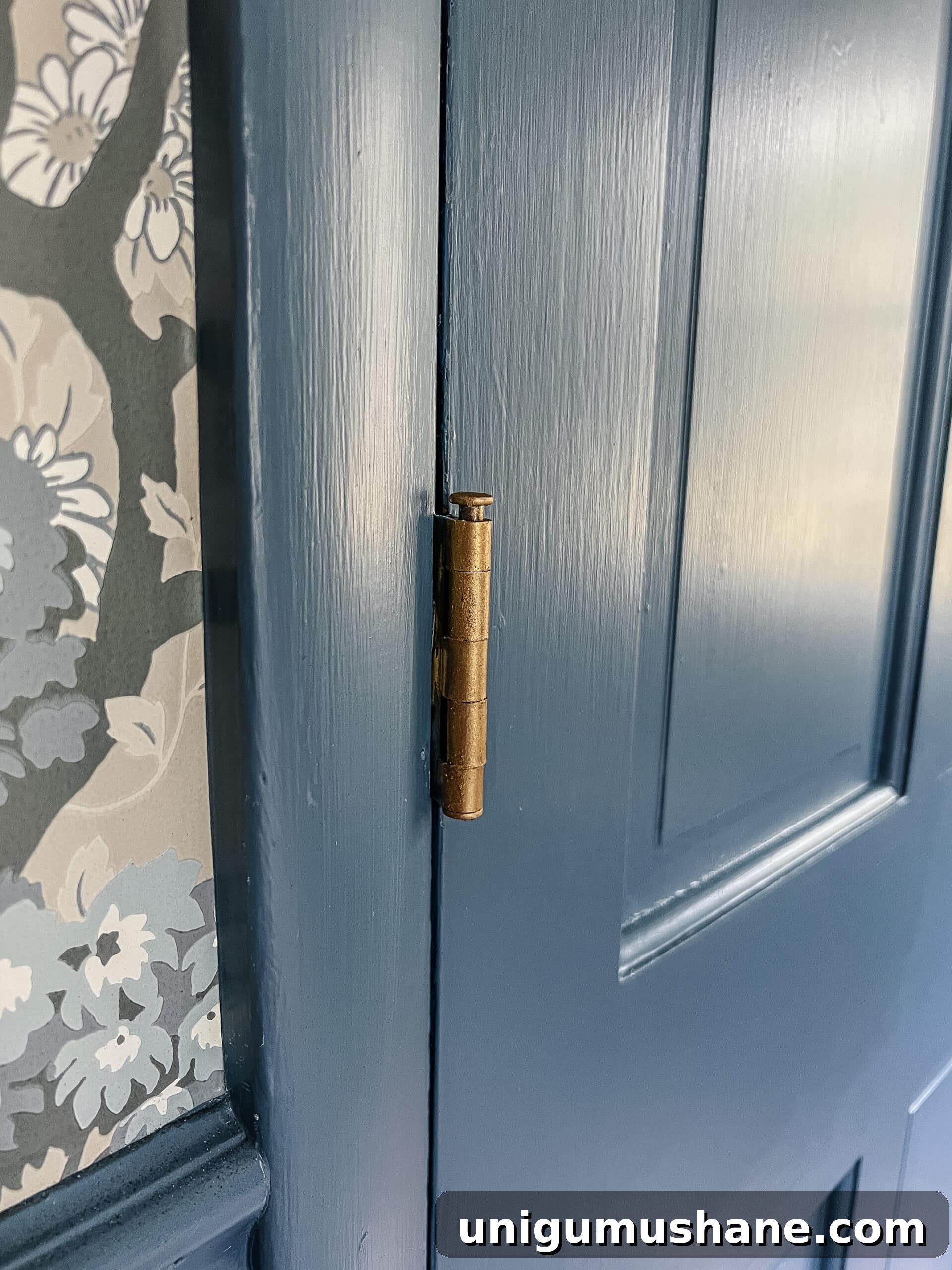 Rub n Buff Color Guide: Tested Shades and Step-by-Step Tutorial 8 door hinge brushed with Rub n Buff European Gold