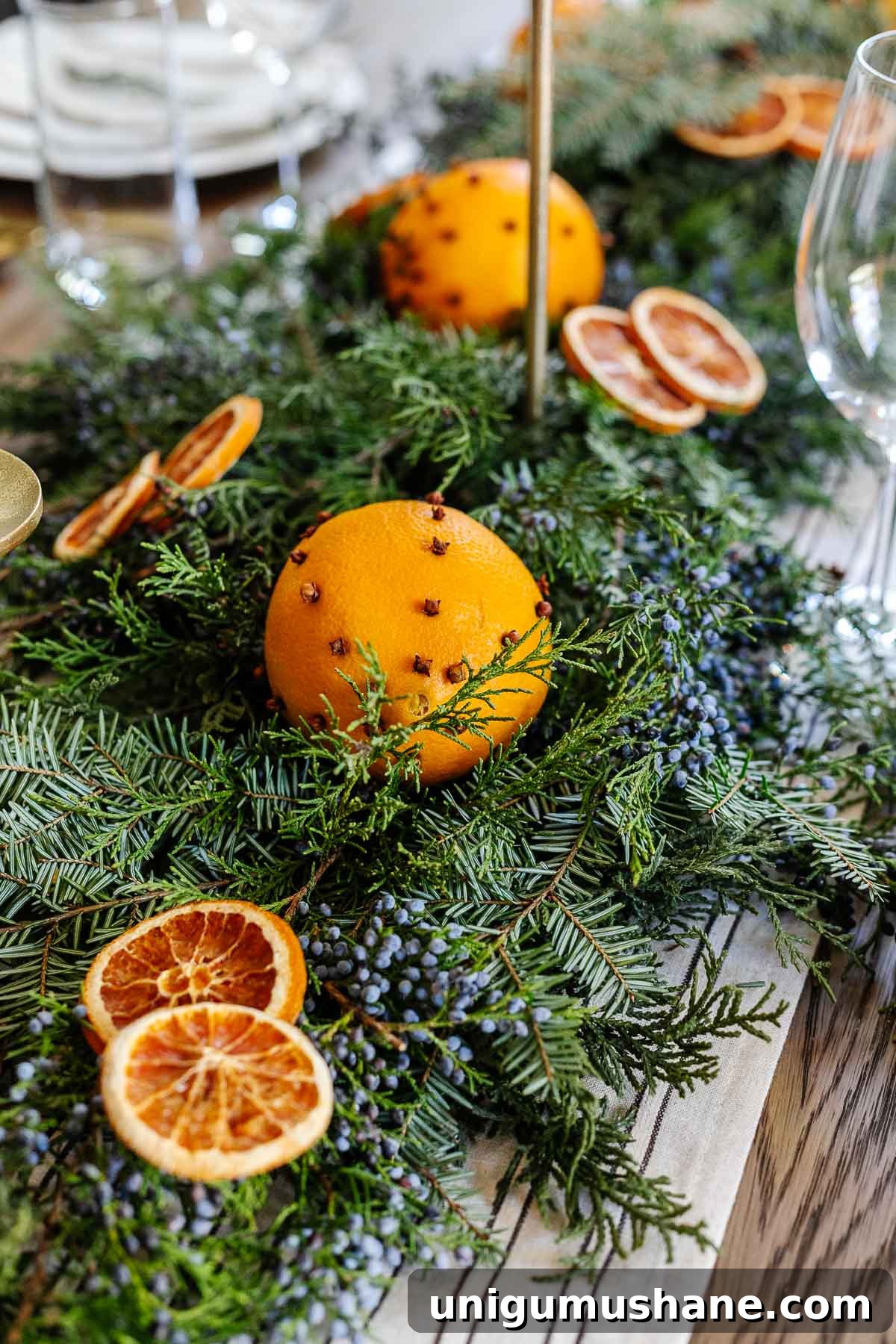 juniper, orange, and evergreen Christmas greenery