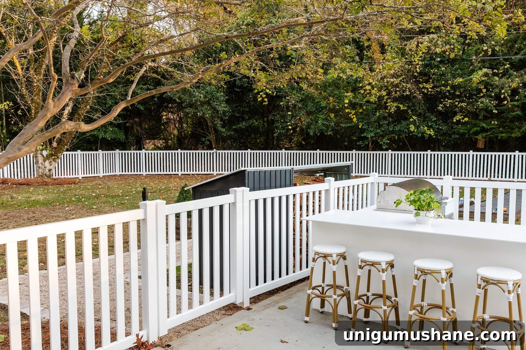 Vinyl Fence Installation: Costs, Materials, and Tips 3 backyard with white vinyl fence and outdoor kitchen