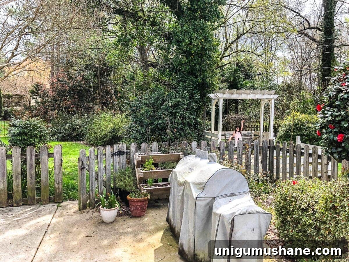 Backyard Renovation Costs: How Much to Expect 12 backyard renovation before