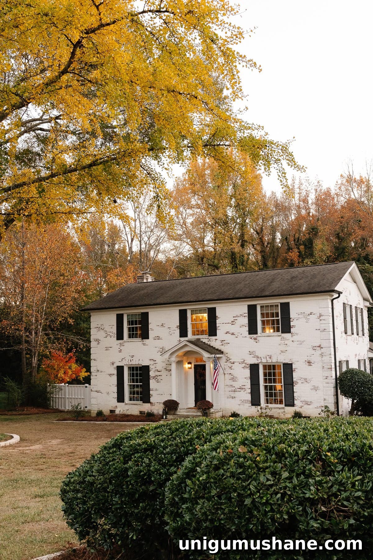 Backyard Renovation Costs: How Much to Expect 9 limewashed brick house