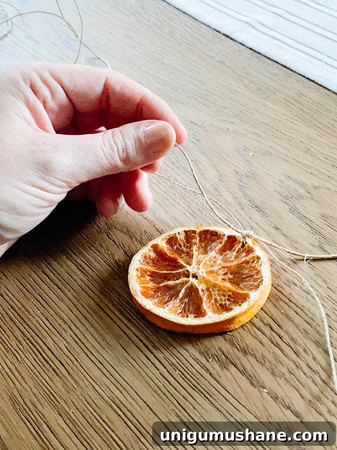 how to thread and tie dried orange slices to garland