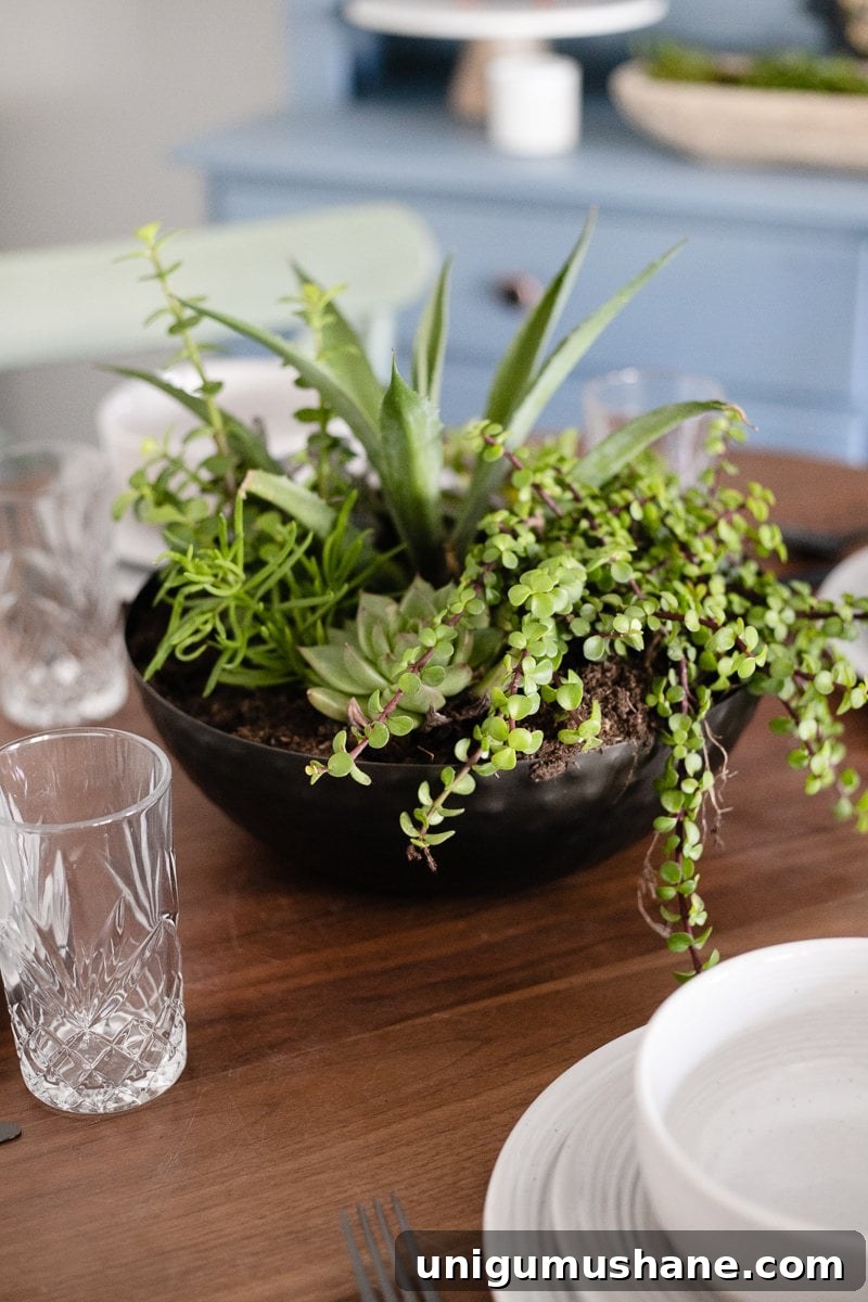 Refresh Your Small Dining Nook: 7 Quick Ideas 10 bowl planter succulent garden