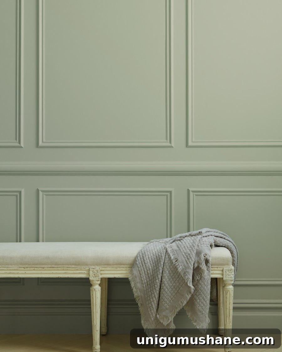 12 Sage Green Paint Colors for a Relaxing Room 13 Clare Paint Money Moves green paint color