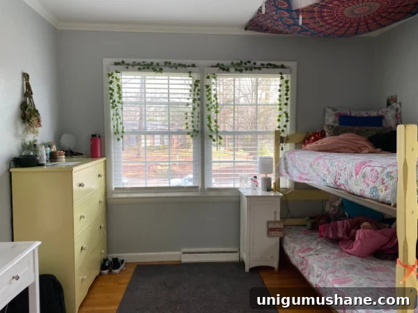 Shared Teen Girls Bedroom with Modern Cottage Style 5 bunk beds in a bedroom before